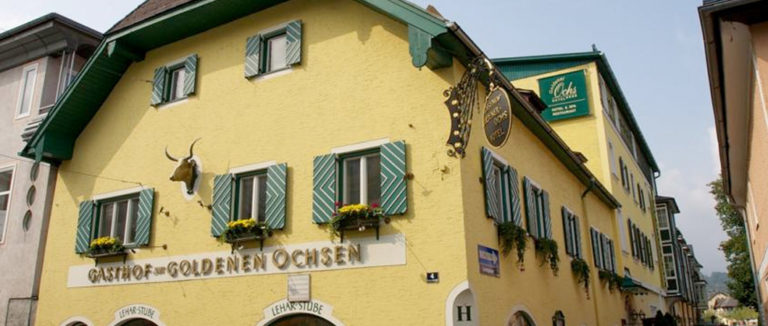 goldener-ochs1